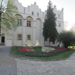 Wykonanie nasadzeń przy Dworze Kapituły Krakowskiej - jesień 2011